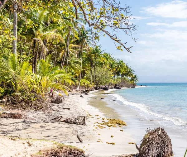 Deniz yıldızı plaj panama. — Stok fotoğraf