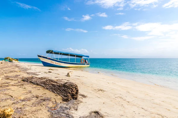 Deniz yıldızı plaj panama.