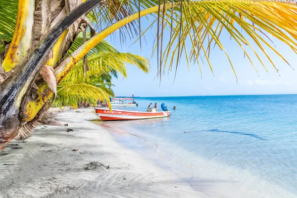 Deniz yıldızı plaj panama.