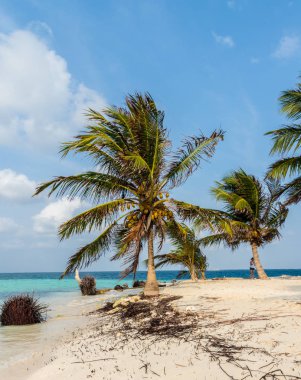 Panama 'daki San Blas adaları