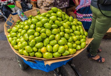 tipik san Salvador