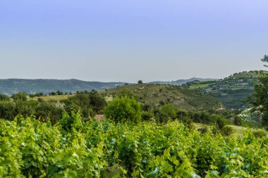 Geleneksel köy Omodos Kıbrıs'ta tipik bir görünümde