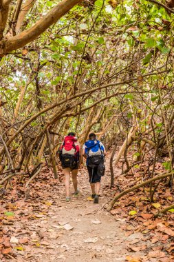 Bir görünümü Tayrona Milli Parkı'nda Kolombiya