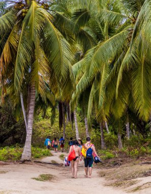 Bir görünümü Tayrona Milli Parkı'nda Kolombiya