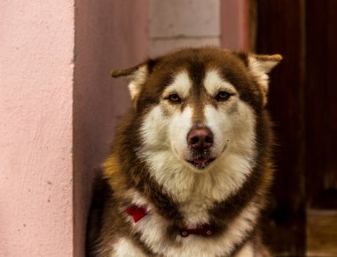 Varadero Küba'da tipik bir görünümde