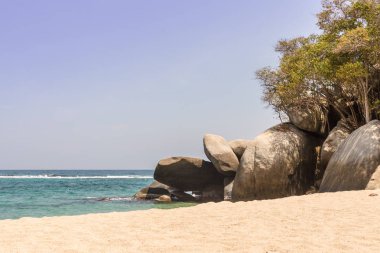 Tipik görünümü Tayrona Milli Parkı Kolombiya