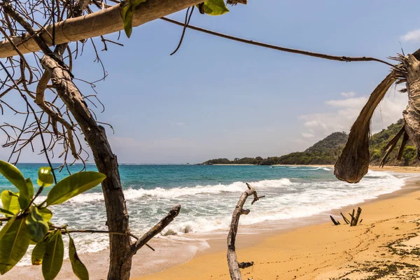 Tipik görünümü Tayrona Milli Parkı Kolombiya — Stok fotoğraf