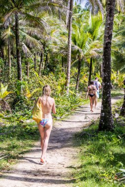 Bocas Del Toro tipik bir görünümde