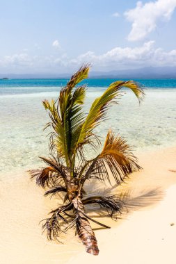San Blas Adaları tipik bir görünümde
