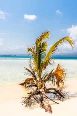 San Blas Adaları tipik bir görünümde