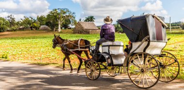 Vinales Vadisi Küba'da tipik bir görünümde.