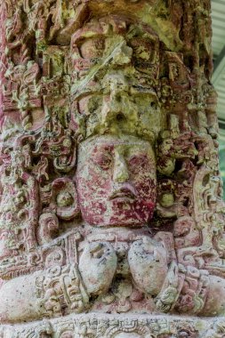 Copan kalıntıları Honduras, tipik bir görünüm.