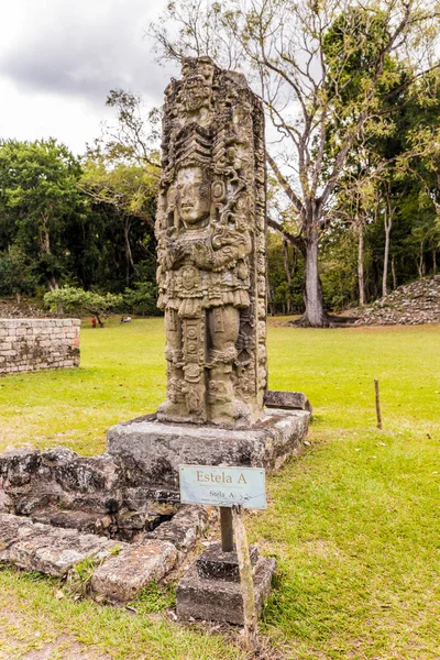 Una vista típica en las ruinas de Copán en Honduras . — Foto de Stock