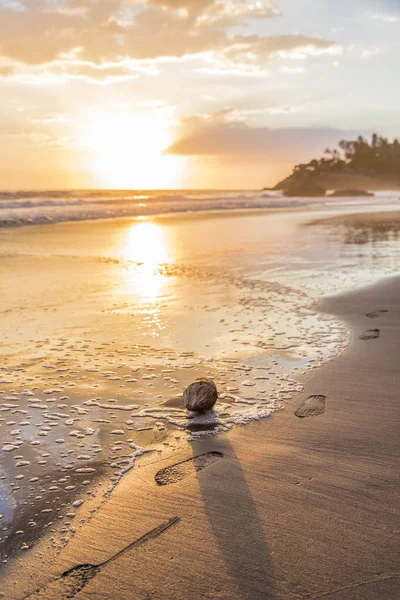 Una vista tipica a El Zonte in El Salvador — Foto Stock