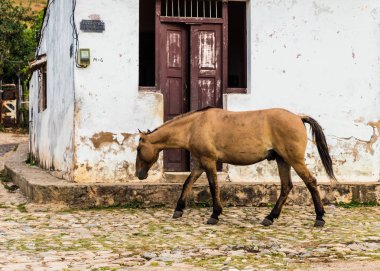 Trinidad Küba'da tipik bir görünüm