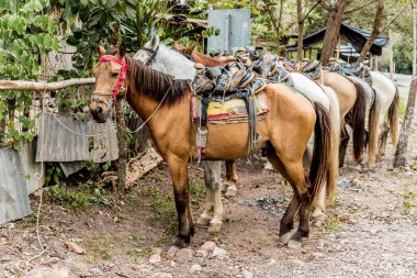 Honduras Copan kasabada tipik bir görünüm