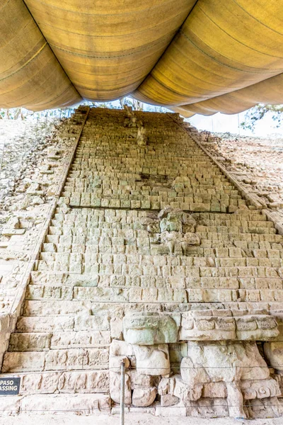 Una vista típica en las ruinas de Copán en Honduras — Foto de Stock