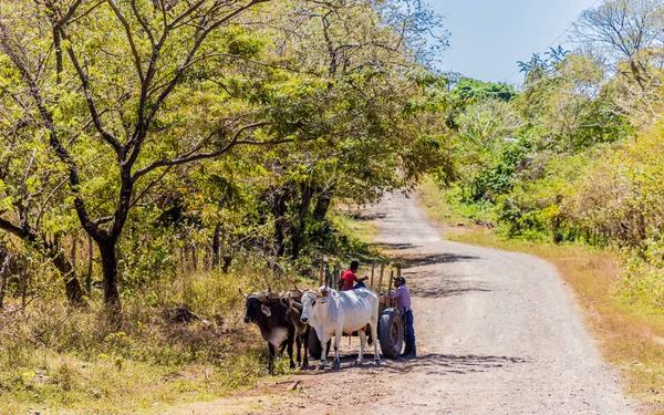 Una vista típica de Ometepe en Nicaragua — Foto de Stock