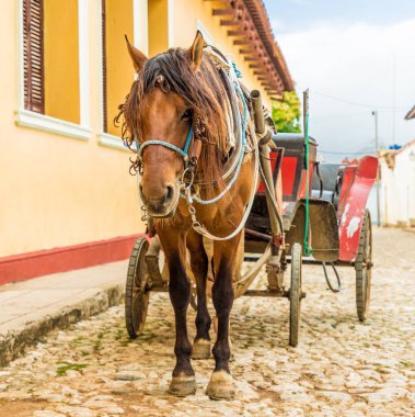 Trinidad Küba'da tipik bir görünüm