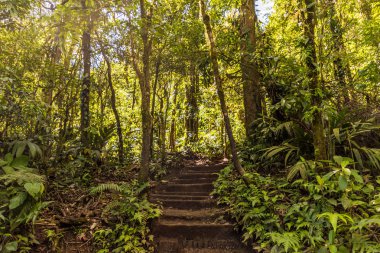 Kosta Rika tipik bir görünümde