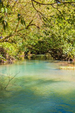 Kosta Rika tipik bir görünümde