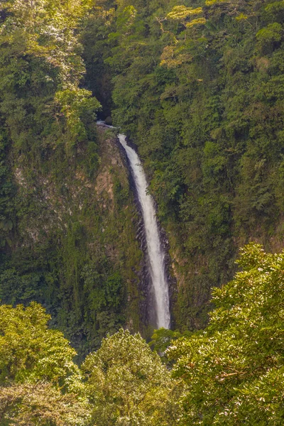Una vista típica en Costa Rica —  Fotos de Stock