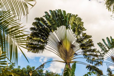 Kosta Rika tipik bir görünümde