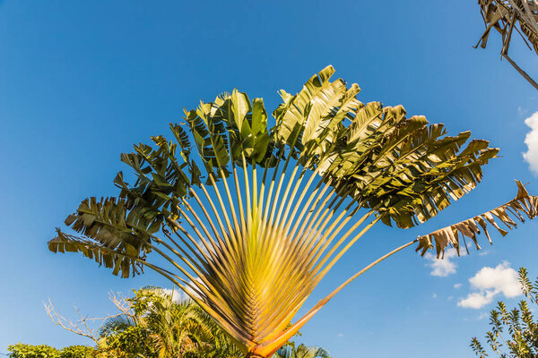 A typical view in Costa Rica