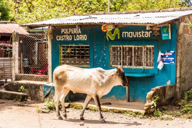 Leon: Ometepe tipik bir görünümde