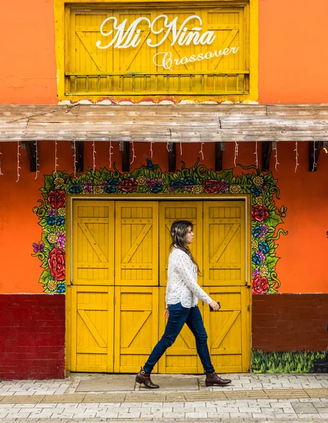 콜롬비아에서 메 델 린에서 전형적인 보기 — 스톡 사진