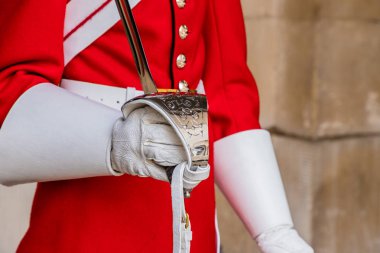 Londra'daki Westminster bir görünüm