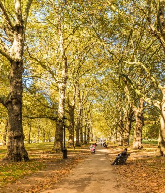 Green park Londra'nın tipik bir görünümde