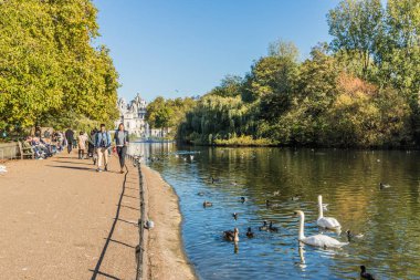 Green park Londra'nın tipik bir görünümde