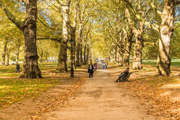 A typical view in Green park in London — Stock Photo, Image