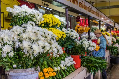 Phuket 'te tipik bir manzara