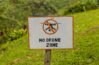 Malezya 'daki Cameron dağlık arazilerindeki çay tarlaları