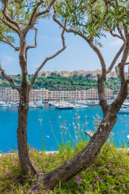 Monaco 'da Monte Carlo' da bir manzara