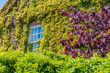 Nottinh Hill 'de tipik bir manzara