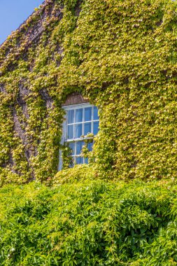 Nottinh Hill 'de tipik bir manzara