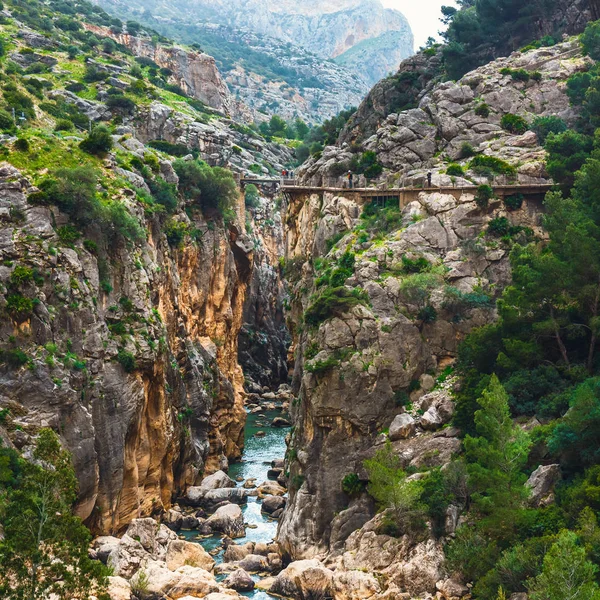 Caminito Del Rey Mountain Path Steep Cliffs Andalusia Spain — Stock Photo, Image