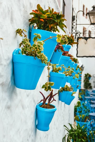 Gevel Van Huis Met Bloemen Blauwe Potten Mijas Andalusië Spanje — Stockfoto