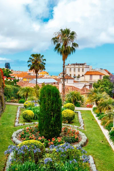 Tropická Botanická Zahrada Orotava Město Tenerife Kanárské Ostrovy — Stock fotografie