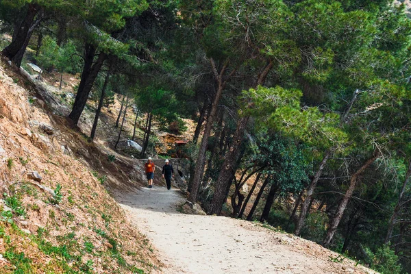 Caminito del Rey, İspanya, 04 Nisan 2018: Royal iz El Caminito Del Rey - sarp kayalıklardan gorge Chorro, Endülüs, İspanya boyunca dağ yolu olarak da bilinir