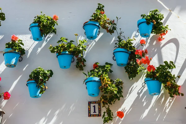 Cephe evin çiçek mavi tencere Mijas, İspanya ile dekore edilmiş
