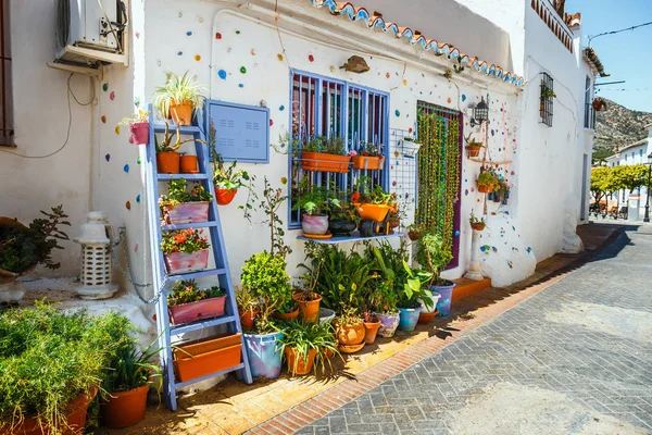 Fachada Decorada Casa Com Flores Vasos Azuis Mijas Espanha — Fotografia de Stock