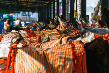 Renkli bir şekilde dekore edilmiş eşek eşek-taksi Mijas, önemli bir turistik yolcu bekliyor olarak ünlü kapatın. Andalusia, İspanya