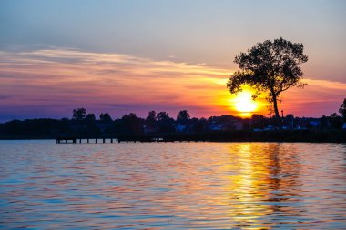 Ağaç arka planda göl üzerinde gündoğumu