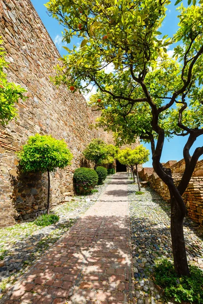 スペインのコスタ マラガのジブラルファロ城 Alcazaba Malaga — ストック写真