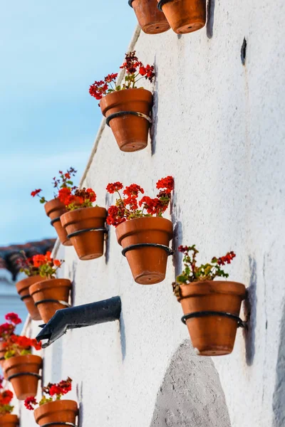 Homlokzata Ház Piros Cserepes Virágokkal Díszített — Stock Fotó