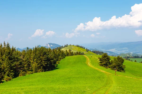 Horská Krajina Stromy Jarní — Stock fotografie